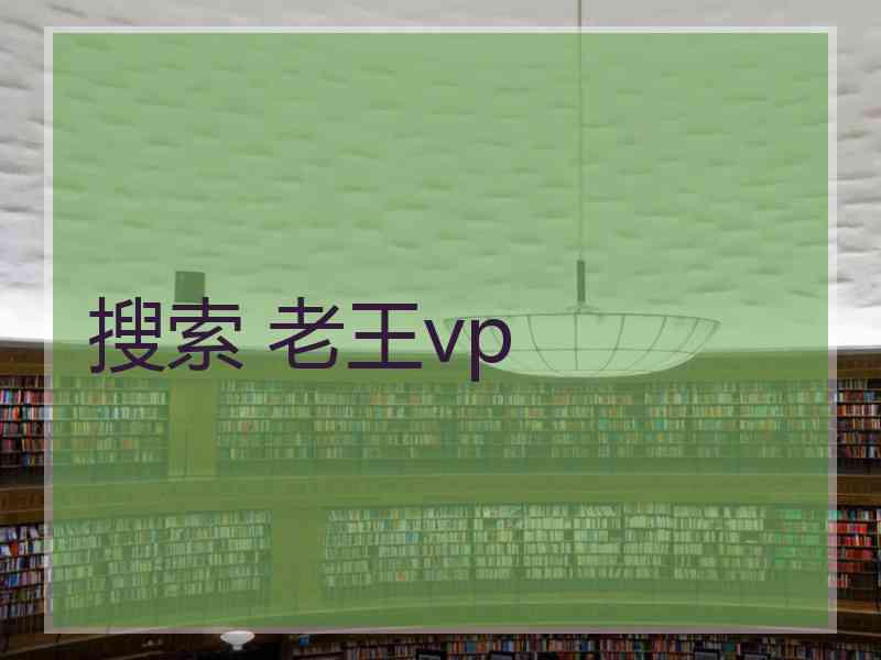 搜索 老王vp