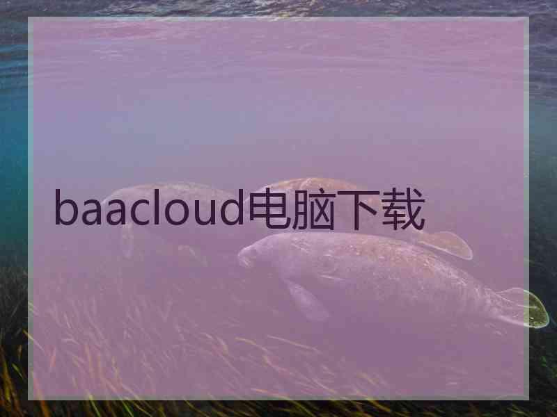 baacloud电脑下载