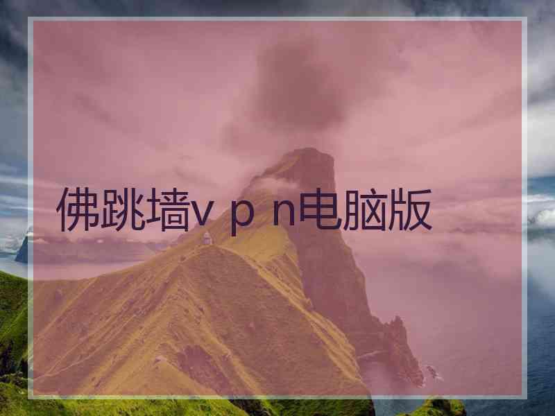 佛跳墙v p n电脑版