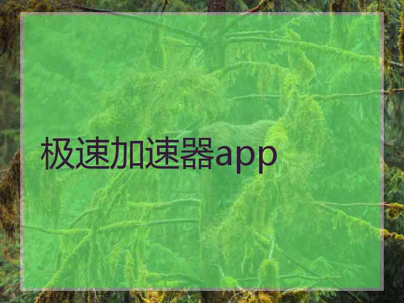 极速加速器app