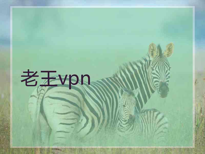 老王vpn