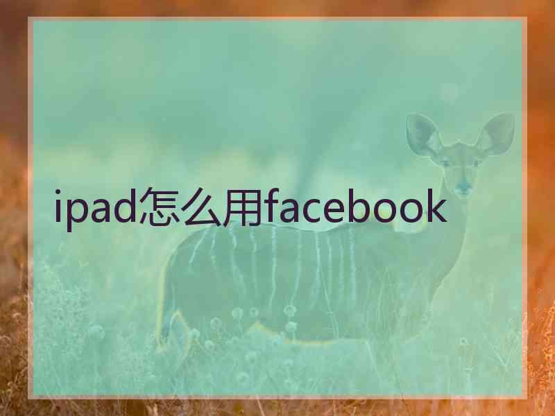 ipad怎么用facebook