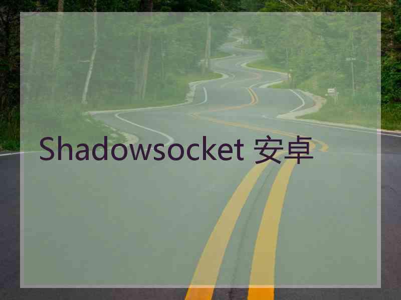 Shadowsocket 安卓