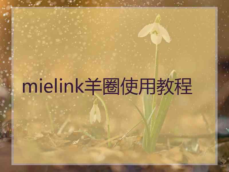 mielink羊圈使用教程