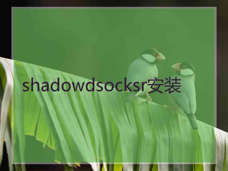 shadowdsocksr安装