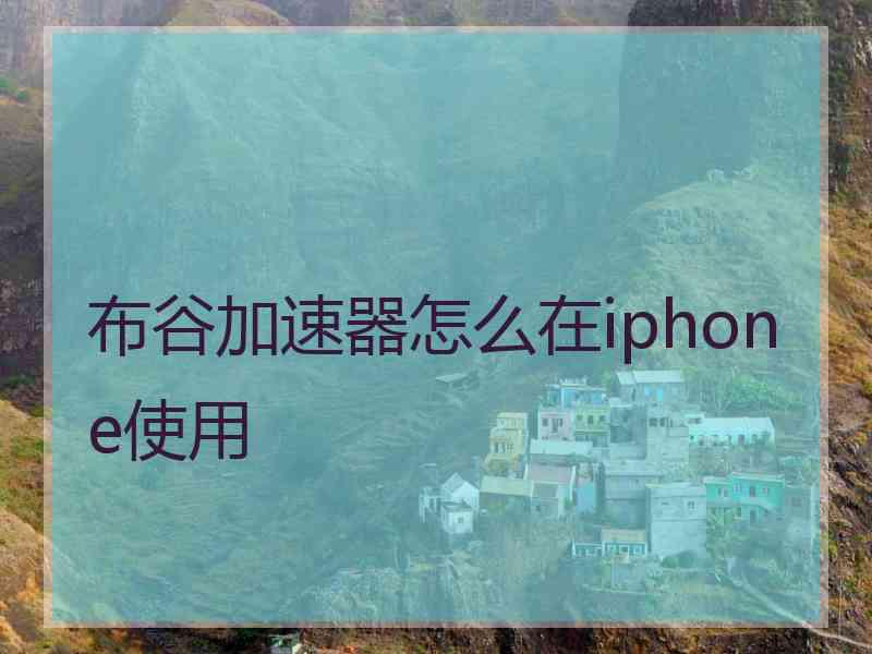 布谷加速器怎么在iphone使用