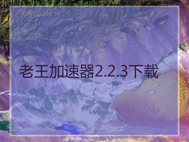 老王加速器2.2.3下载