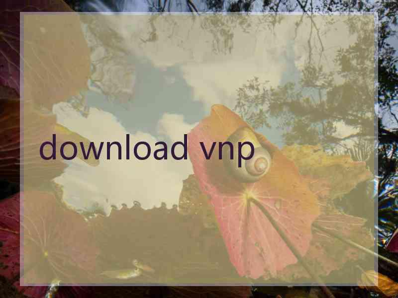 download vnp