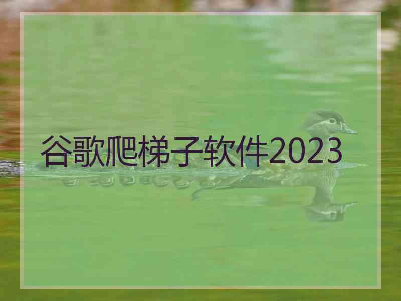 谷歌爬梯子软件2023