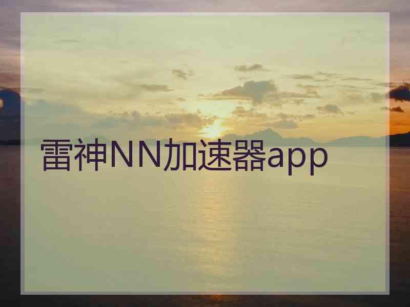 雷神NN加速器app