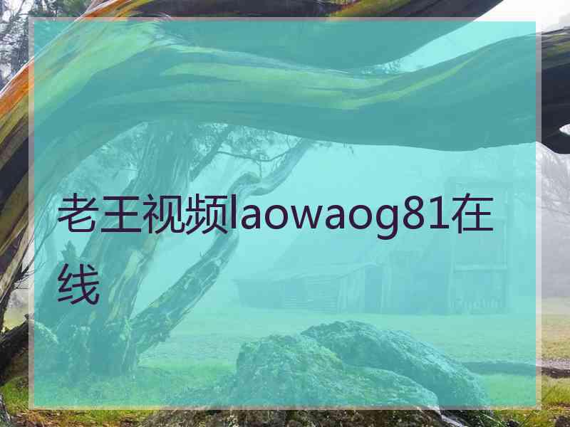 老王视频laowaog81在线