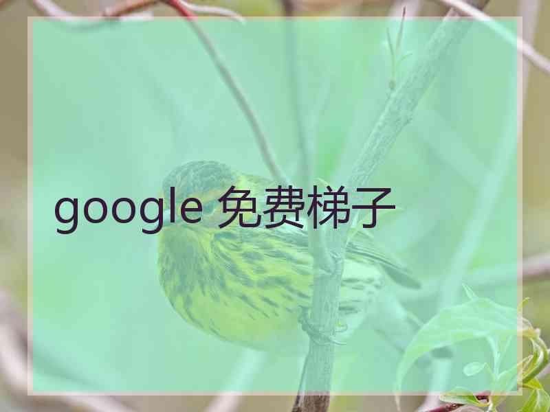 google 免费梯子