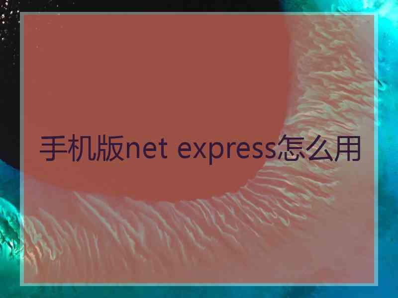 手机版net express怎么用