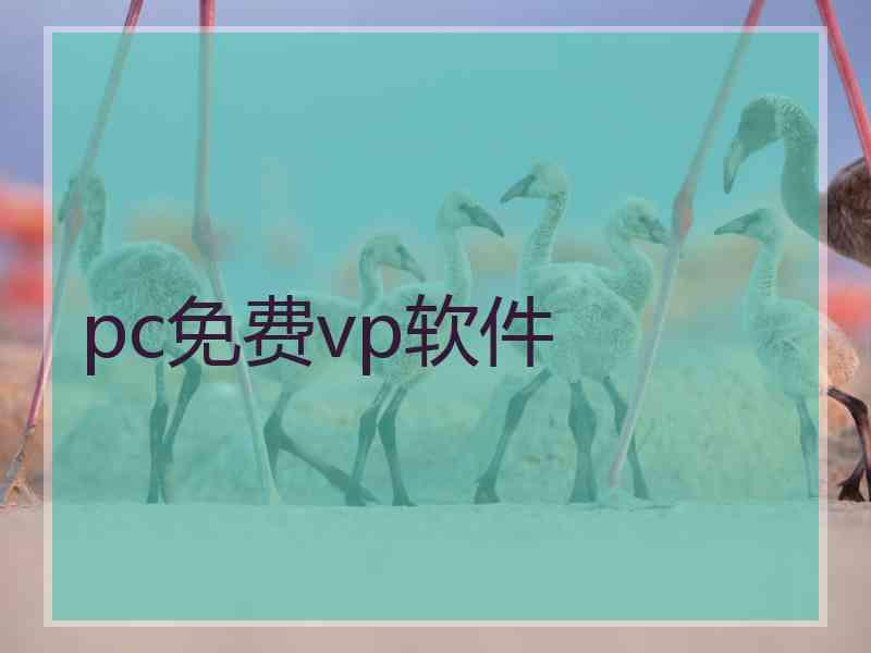 pc免费vp软件