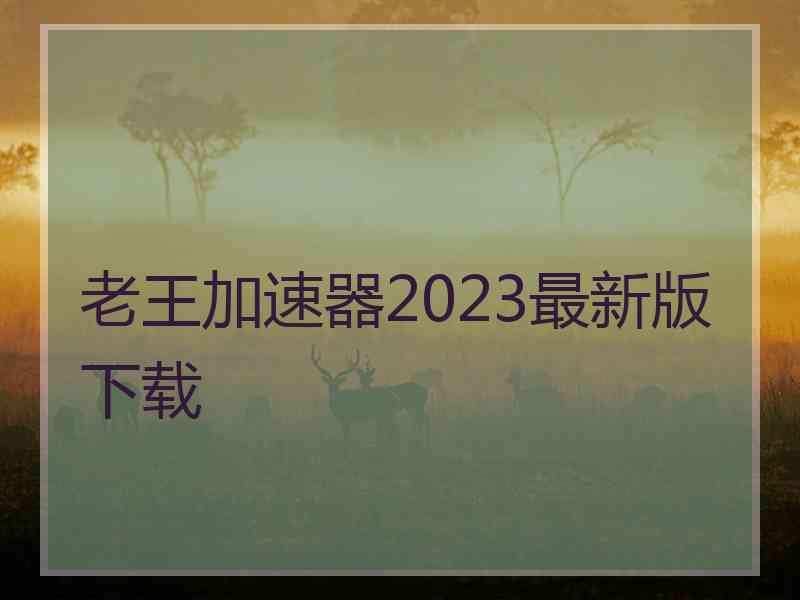 老王加速器2023最新版下载