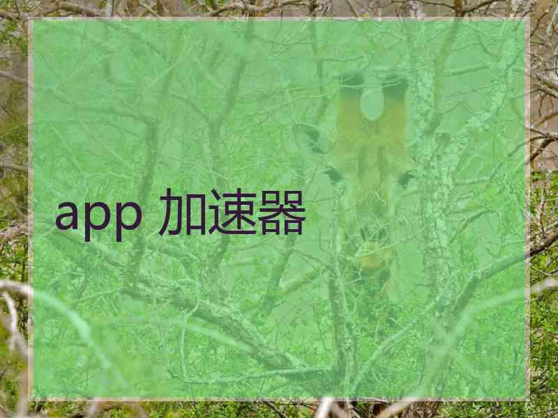 app 加速器