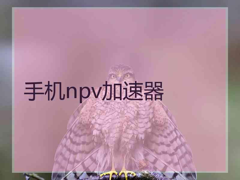 手机npv加速器