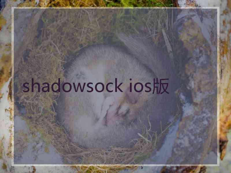 shadowsock ios版