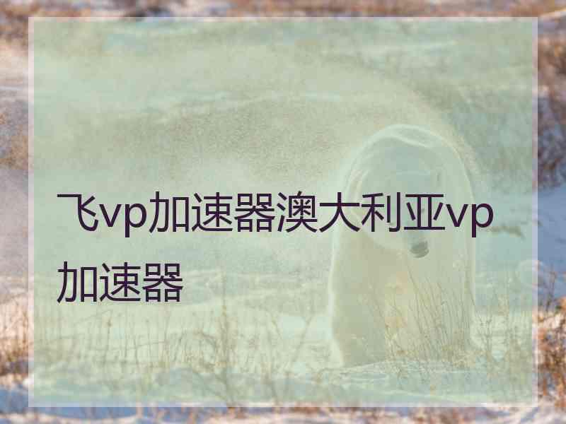 飞vp加速器澳大利亚vp加速器