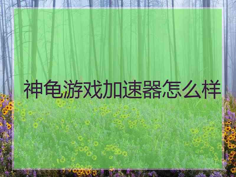 神龟游戏加速器怎么样