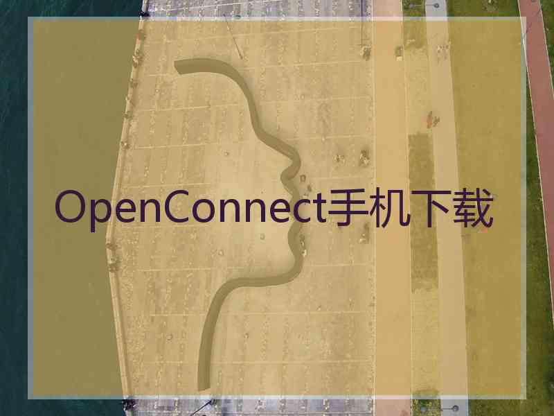 OpenConnect手机下载