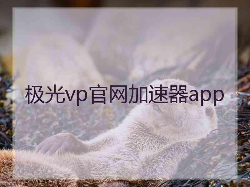 极光vp官网加速器app