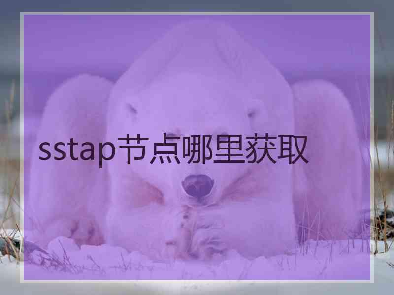 sstap节点哪里获取