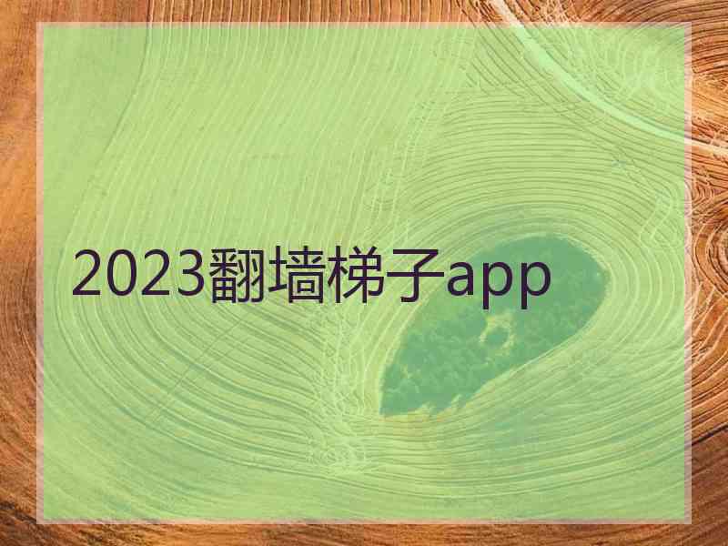 2023翻墙梯子app