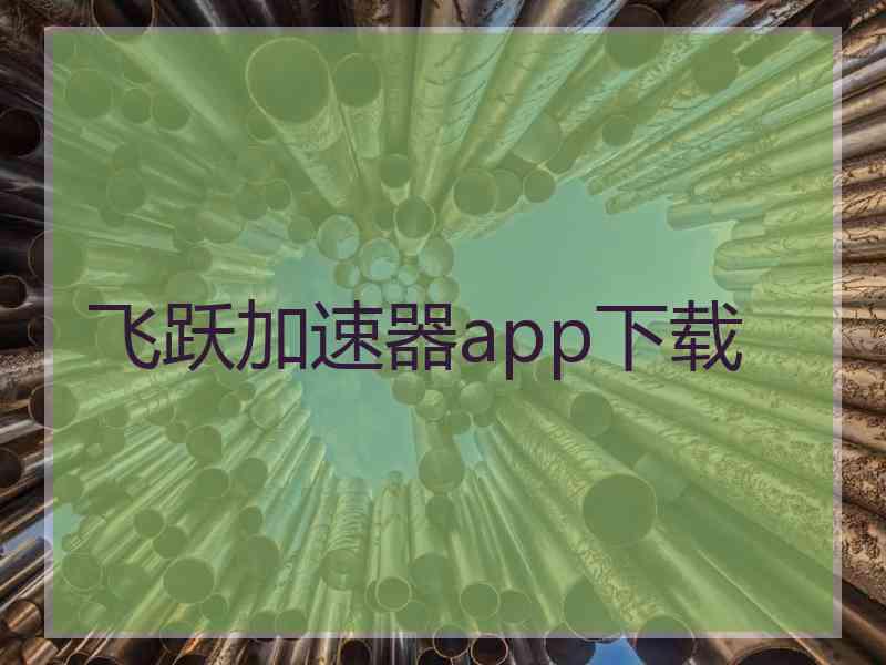 飞跃加速器app下载