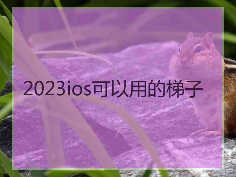 2023ios可以用的梯子