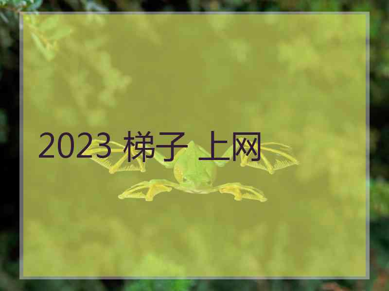 2023 梯子 上网