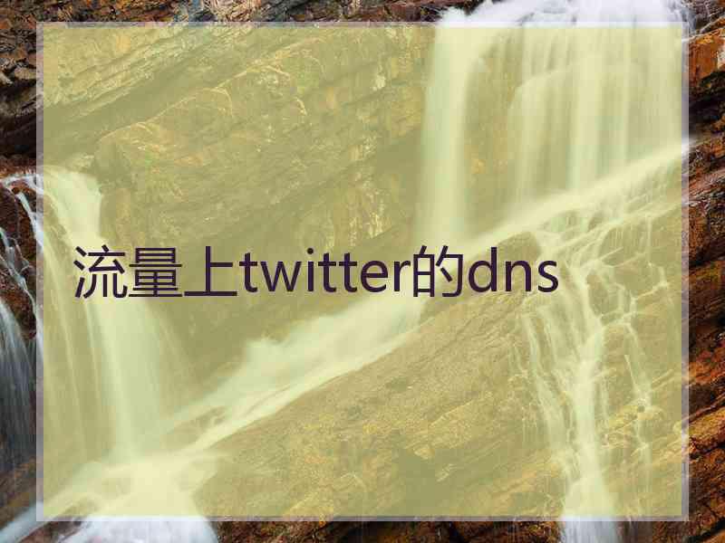 流量上twitter的dns