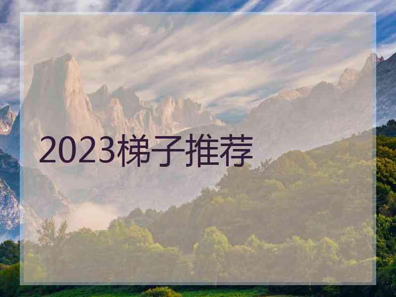 2023梯子推荐