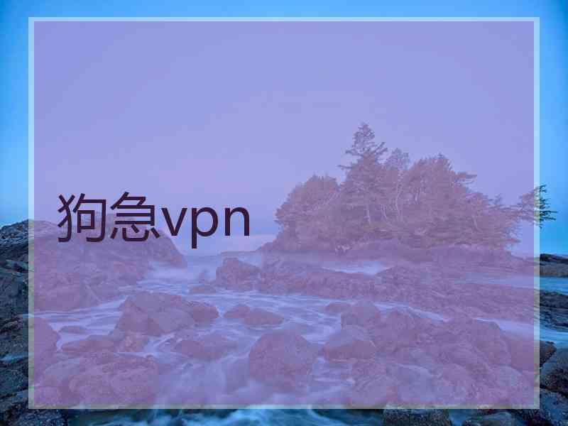 狗急vpn