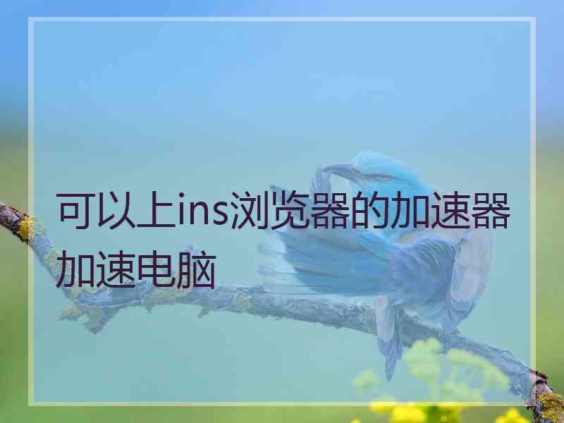 可以上ins浏览器的加速器加速电脑