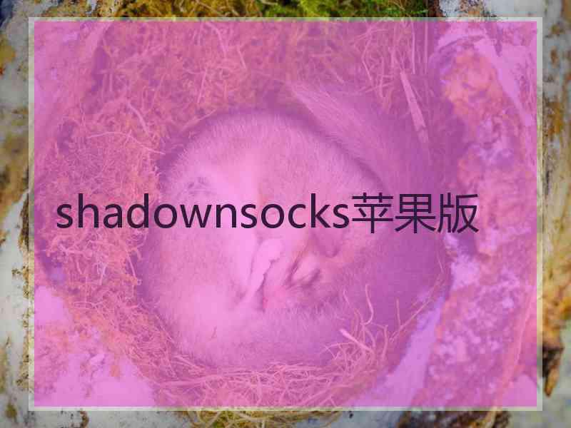 shadownsocks苹果版