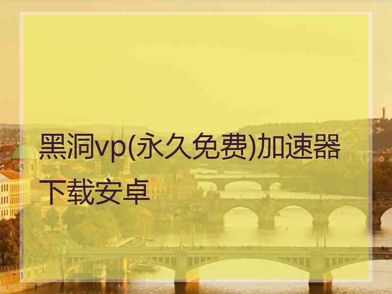 黑洞vp(永久免费)加速器下载安卓