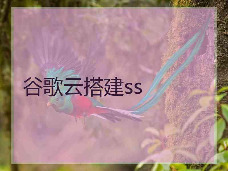 谷歌云搭建ss