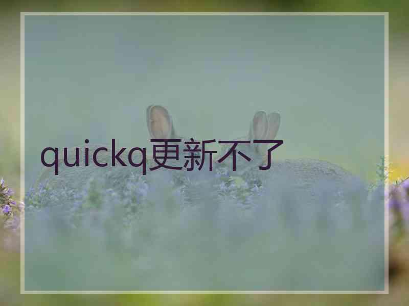 quickq更新不了