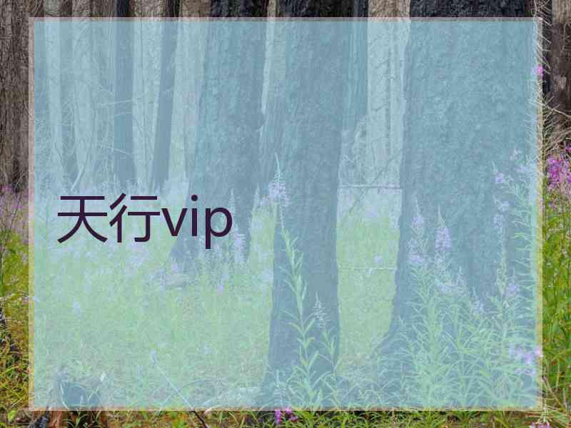 天行vip