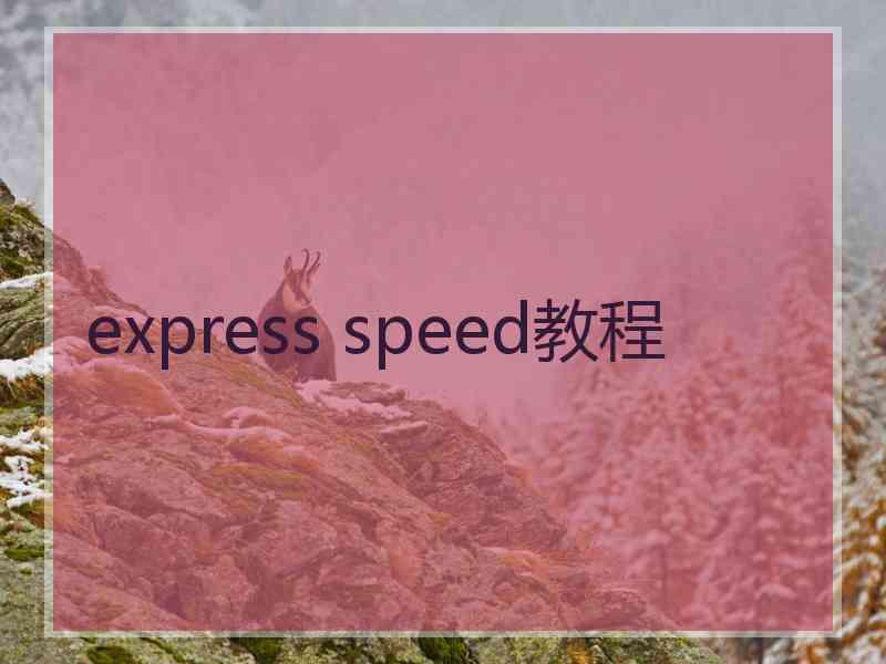 express speed教程