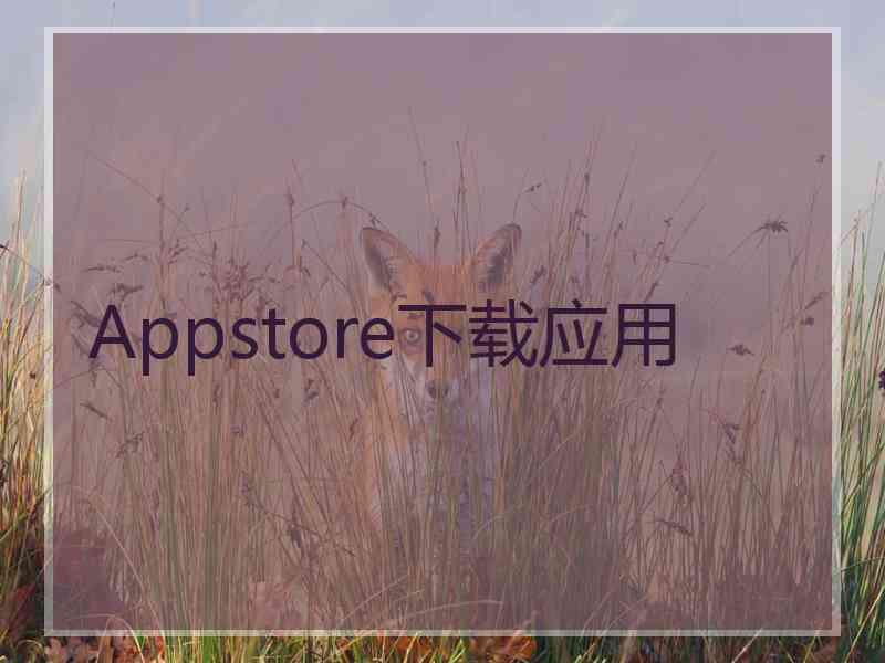 Appstore下载应用