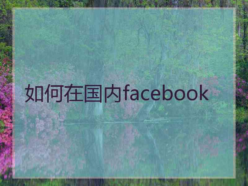 如何在国内facebook