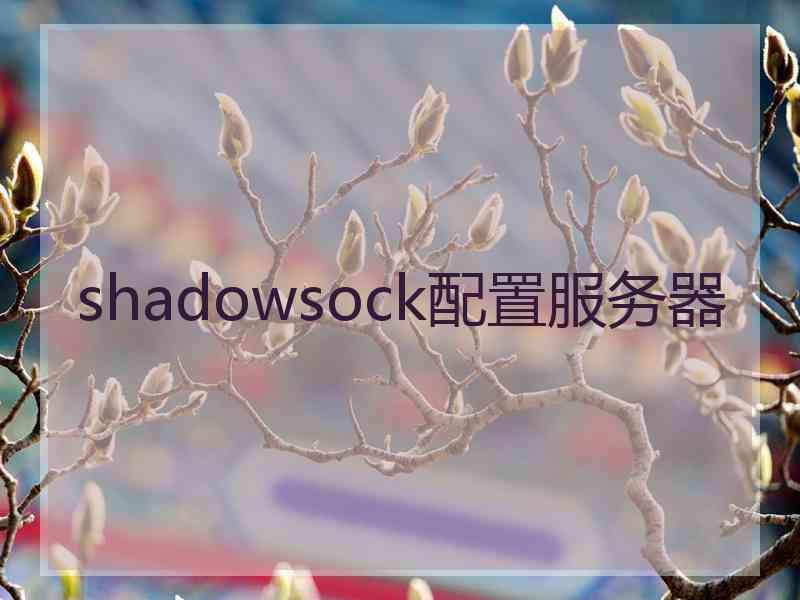 shadowsock配置服务器