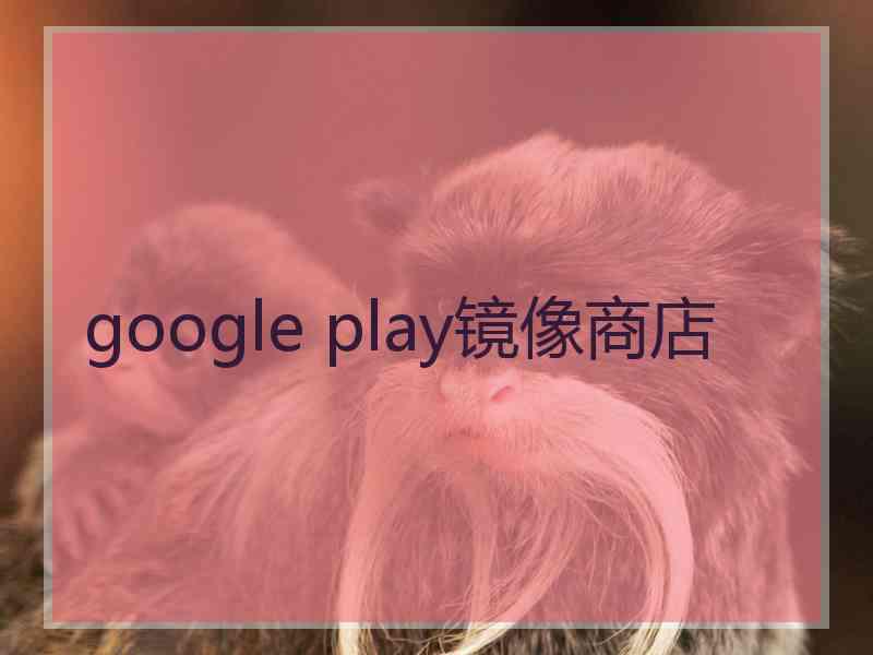 google play镜像商店