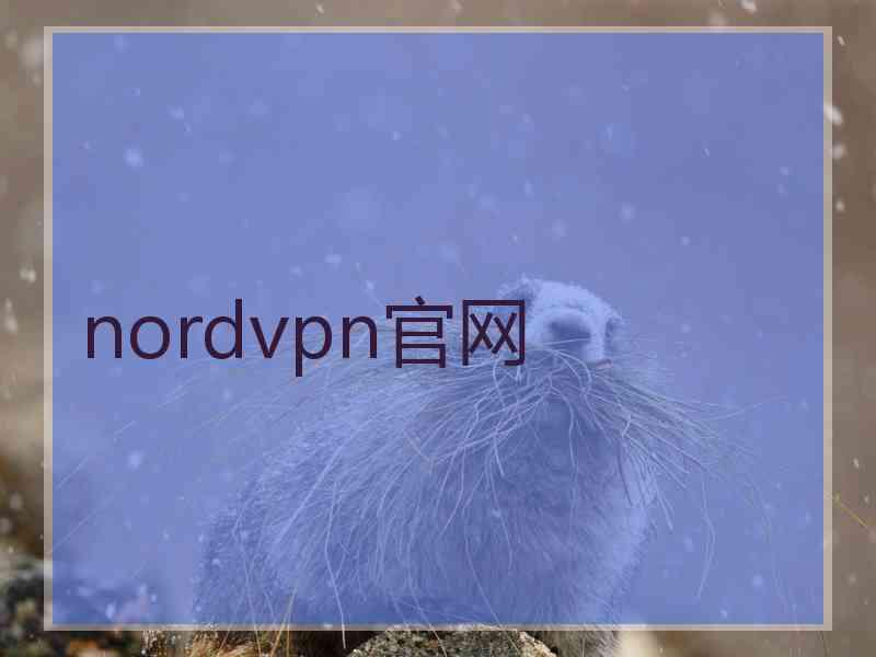 nordvpn官网