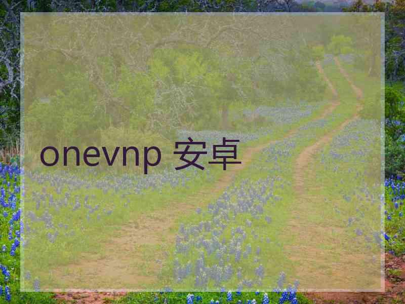 onevnp 安卓