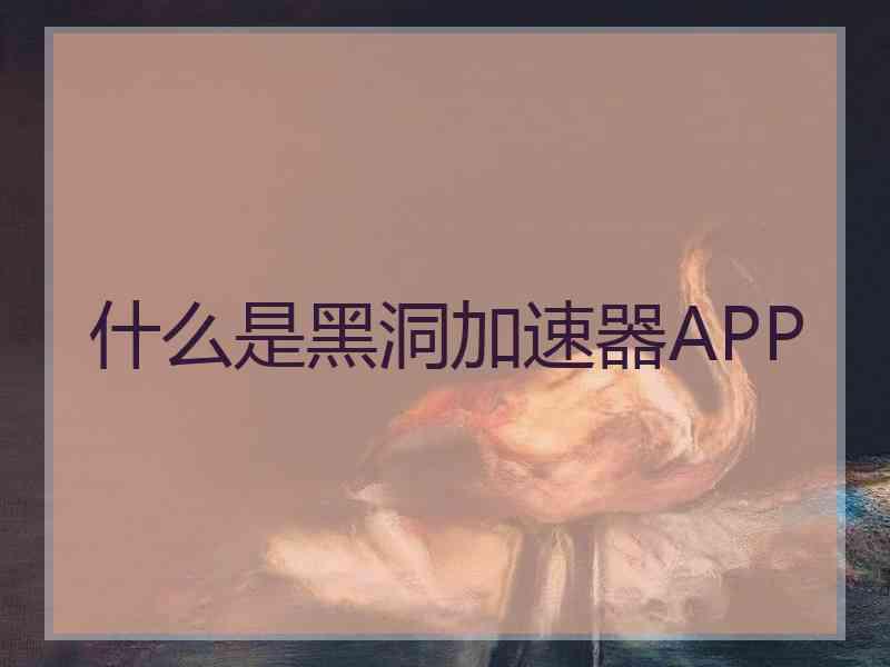 什么是黑洞加速器APP