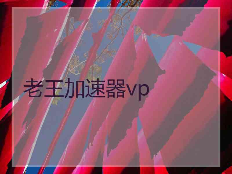 老王加速器vp