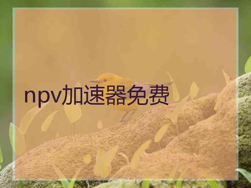 npv加速器免费